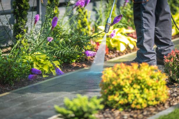Best Driveway Pressure Washing  in Flanders, NJ