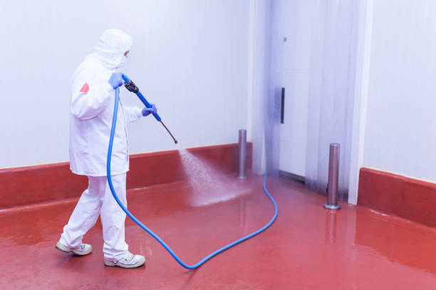 Best Boat and Dock Cleaning  in Flanders, NJ
